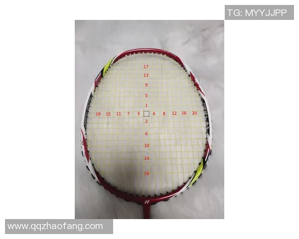 羽毛球装备选购指南护具推荐与使用技巧分享