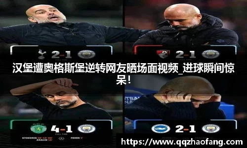 汉堡遭奥格斯堡逆转网友晒场面视频_进球瞬间惊呆！