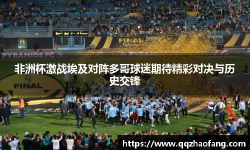 非洲杯激战埃及对阵多哥球迷期待精彩对决与历史交锋